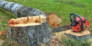 Best Hazardous Tree Removal  in Adamsville, TN